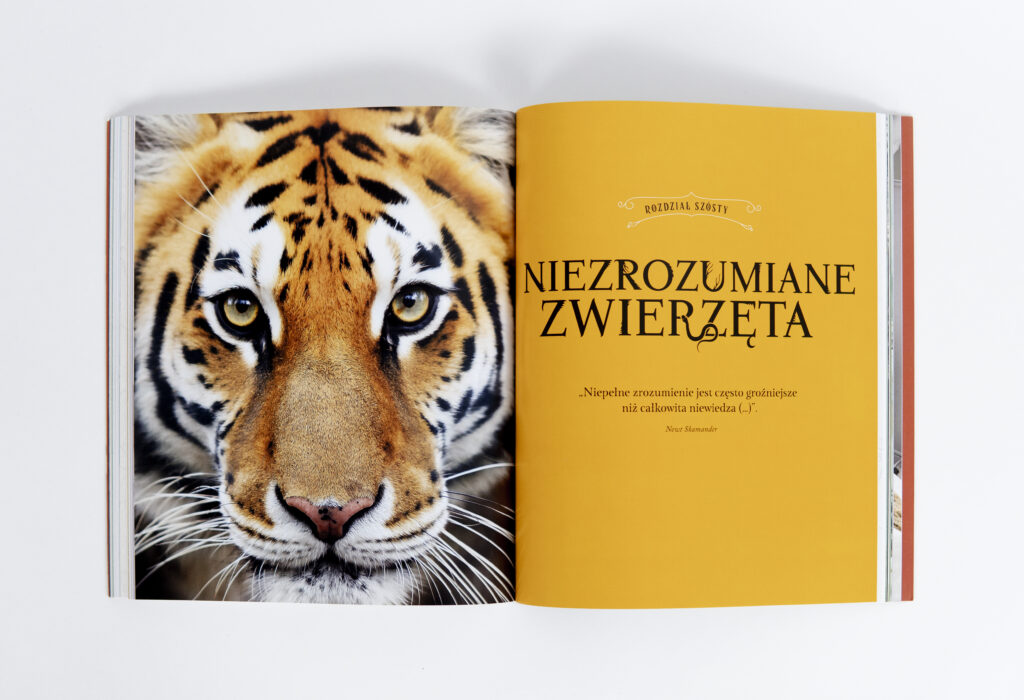 Fantasyczne zwietrzęta. Cuda natury