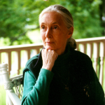 Jane Goodall