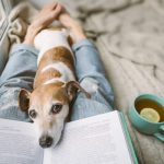 Książki o psach, czyli jak czworonogi zagościły na kartach powieści