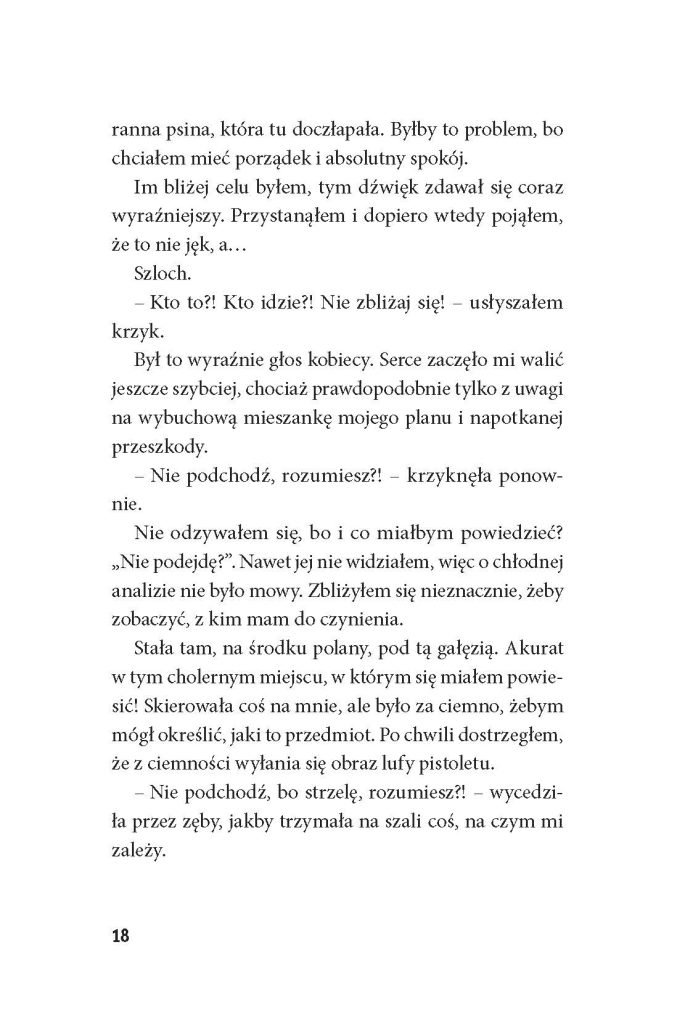 BALLADA JEDNEJ NOCY